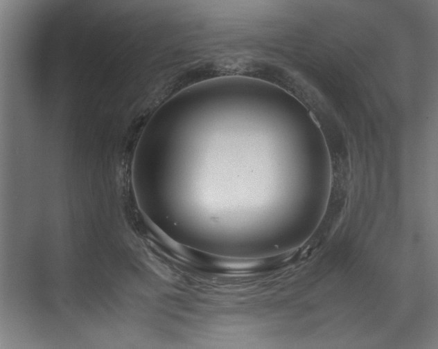 X0000072520601200607141200