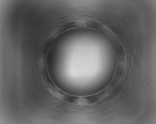 X0000072520603200607141200