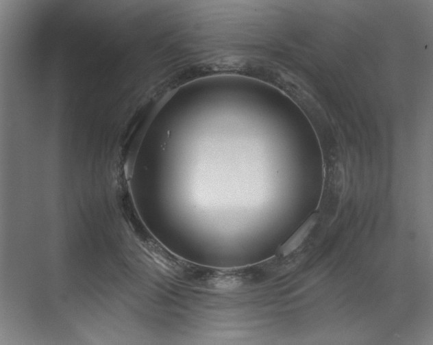 X0000072520604200607141200