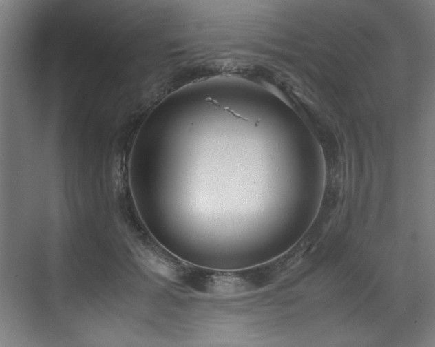 X0000072520605200607141200