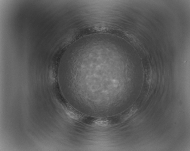 X0000072520606200607141200