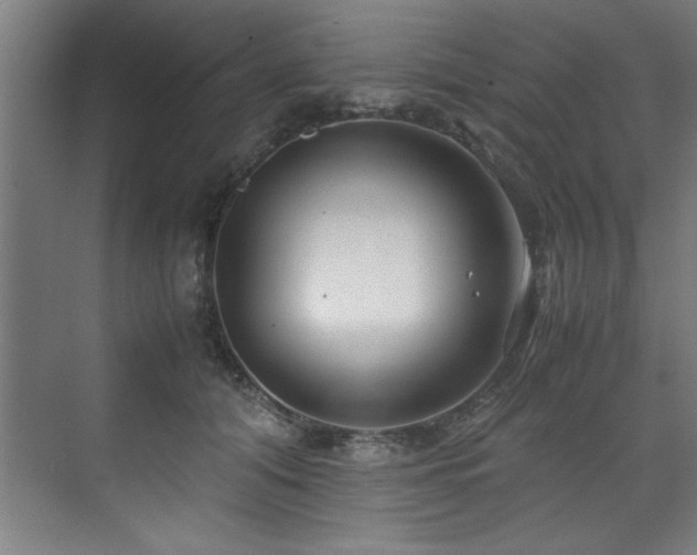 X0000072520608200607141200