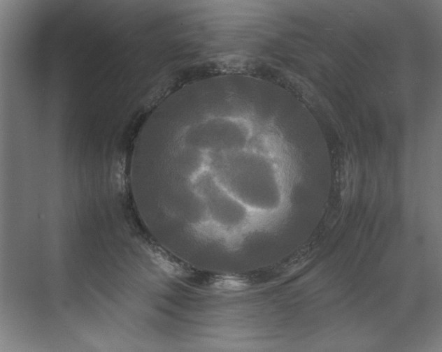 X0000072520610200607141200