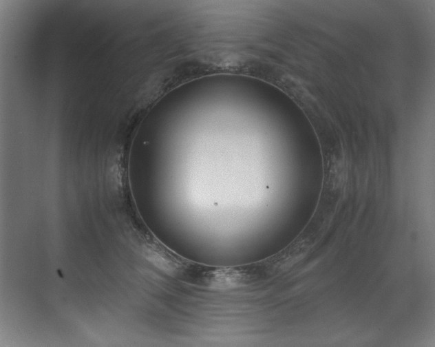 X0000072520612200607141159