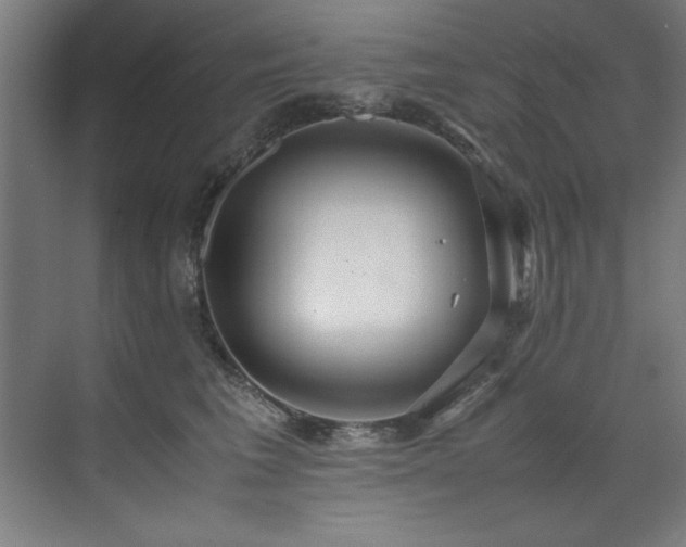 X0000072520613200607141159