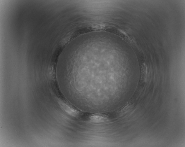 X0000072520614200607141159