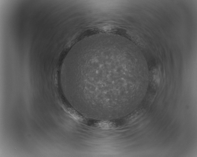 X0000072520615200607141159