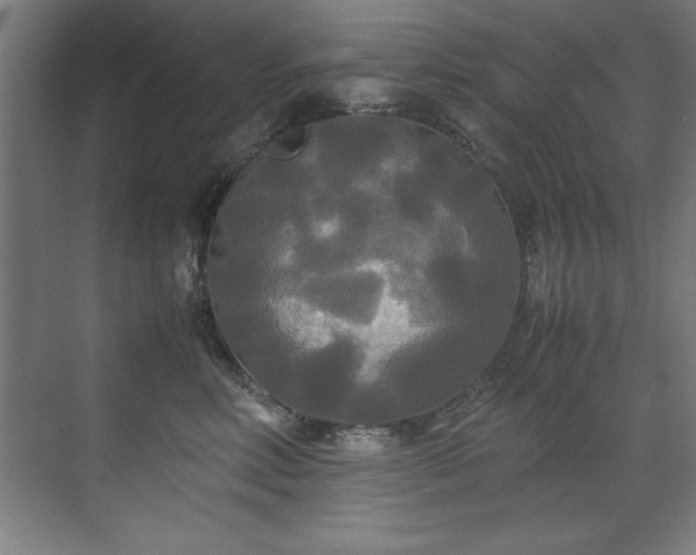 X0000072520618200607141159