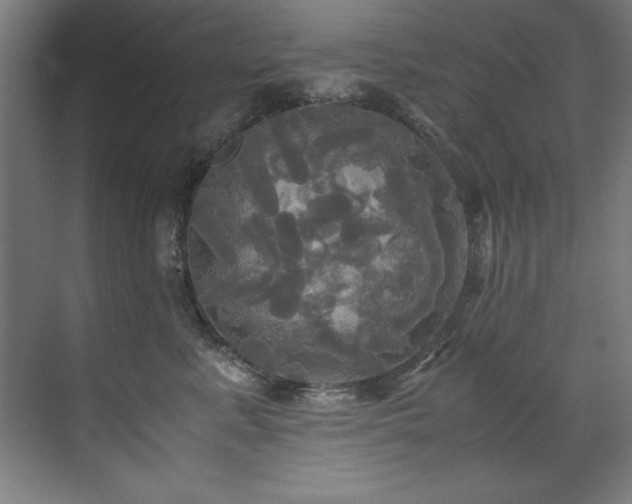 X0000072520619200607141159