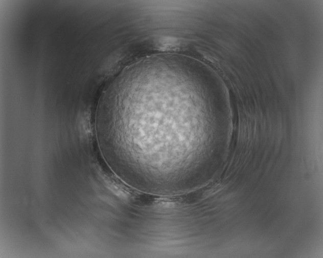 X0000072520620200607141159