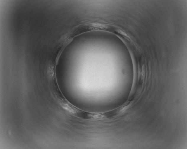 X0000072520621200607141159