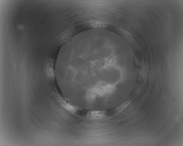 X0000072520622200607141159