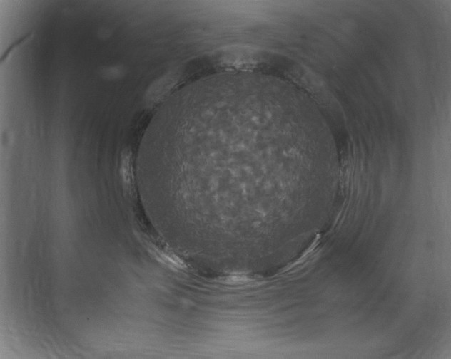 X0000072520623200607141159