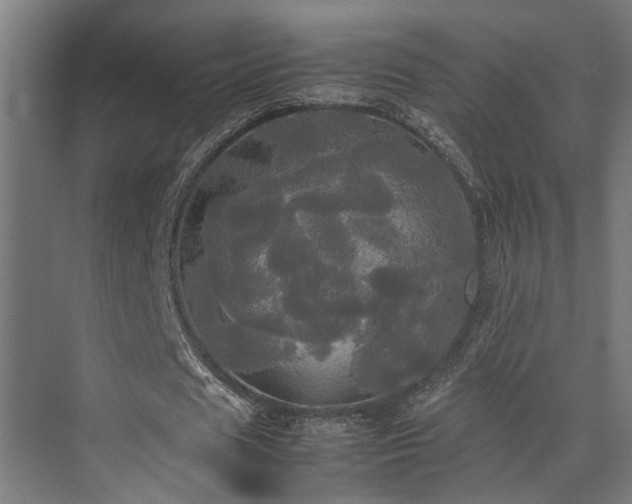 X0000072520625200607141158