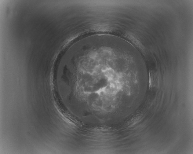 X0000072520627200607141159