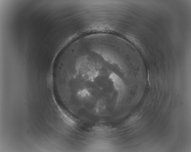 X0000072520630200607141159