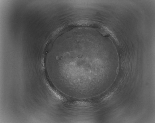 X0000072520633200607141159