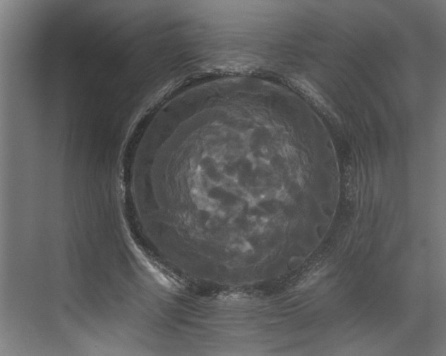 X0000072520634200607141159