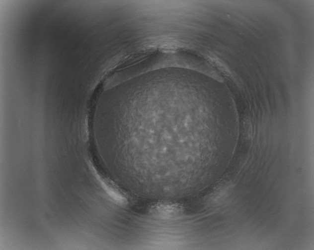 X0000072520638200607141159