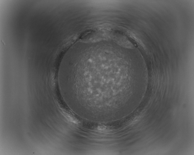 X0000072520641200607141159