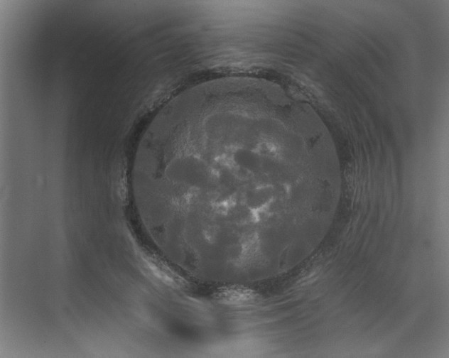 X0000072520642200607141159