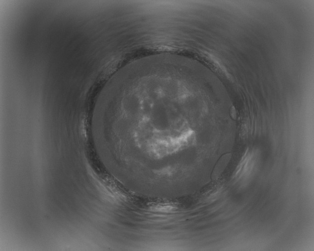 X0000072520643200607141159