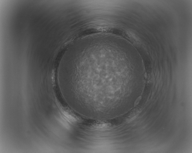 X0000072520646200607141159