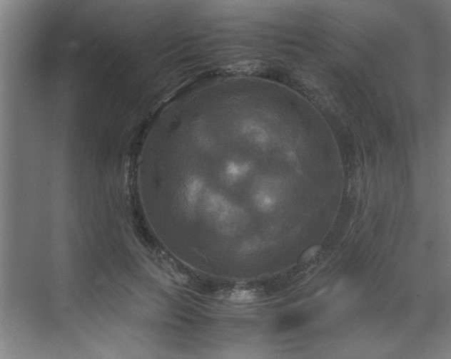 X0000072520647200607141159