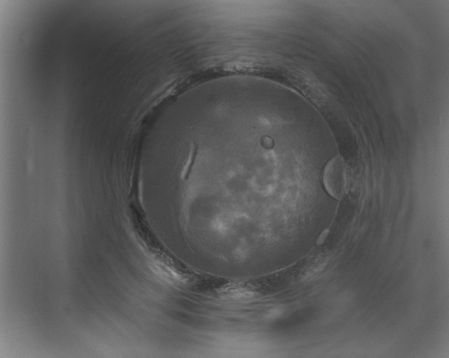 X0000072520648200607141159