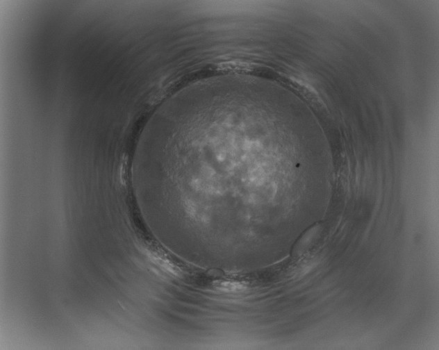 X0000072520649200607141159