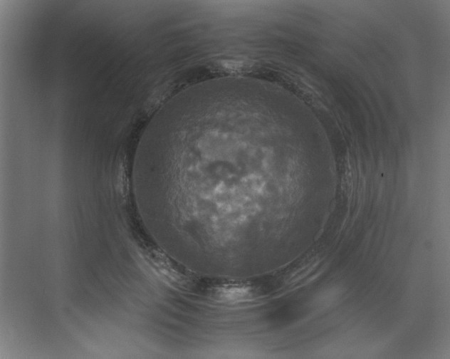 X0000072520651200607141159