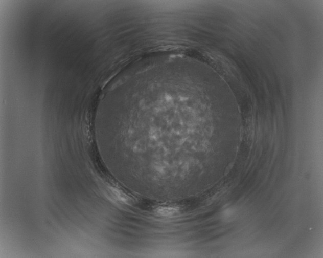 X0000072520653200607141159