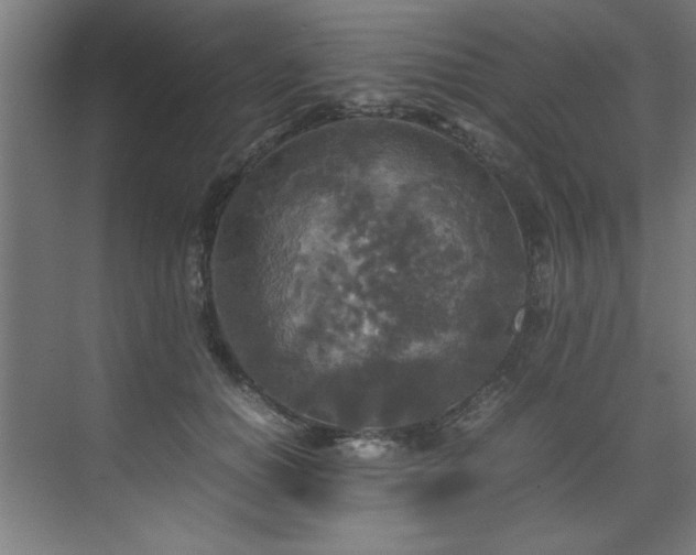 X0000072520654200607141159