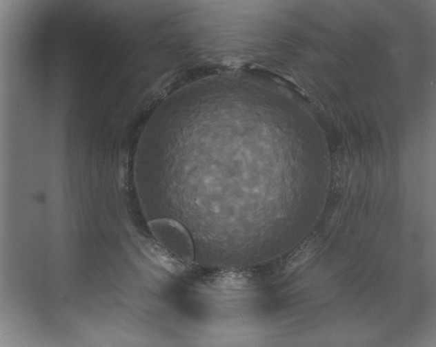 X0000072520656200607141159