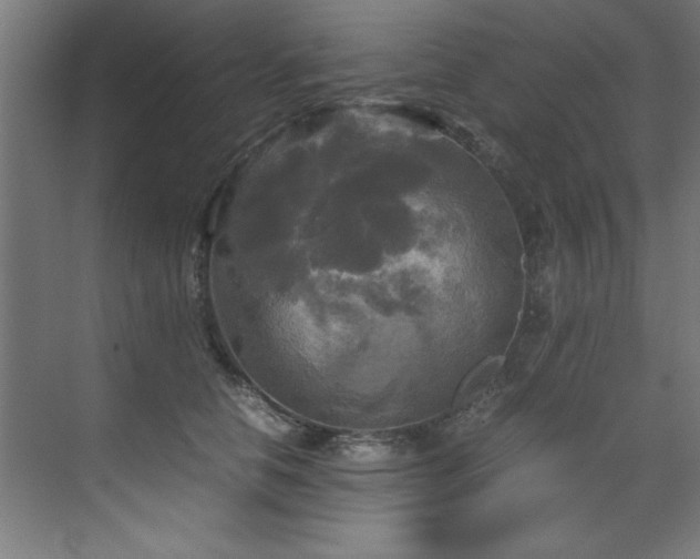 X0000072520658200607141159