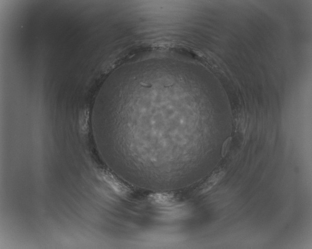 X0000072520660200607141159