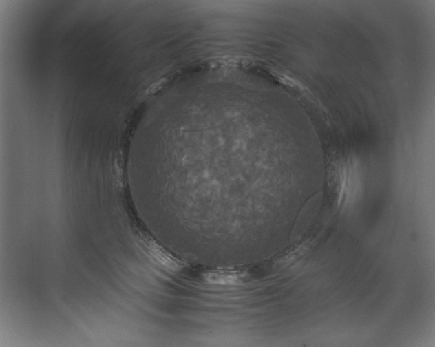 X0000072520661200607141159