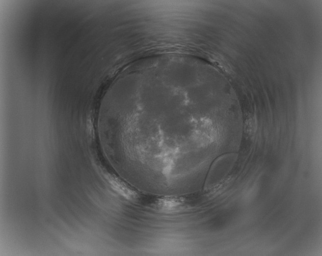 X0000072520662200607141159