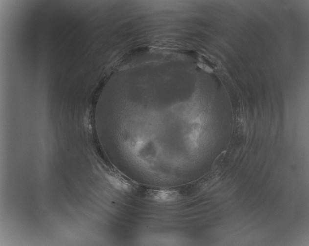 X0000072520663200607141159