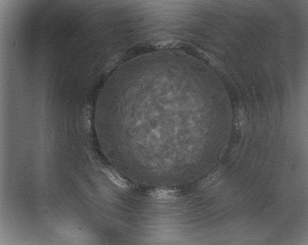 X0000072520664200607141159