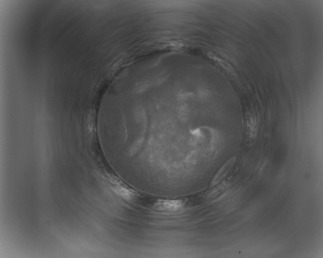 X0000072520665200607141159