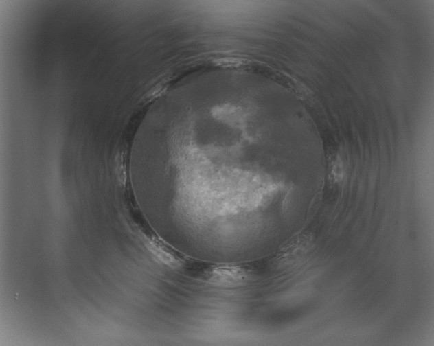 X0000072520666200607141159