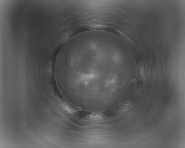 X0000072520668200607141159