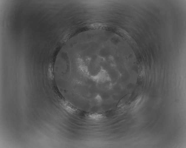 X0000072520669200607141159