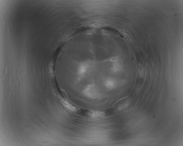 X0000072520670200607141159