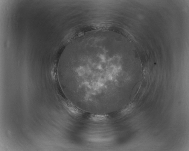 X0000072520671200607141159