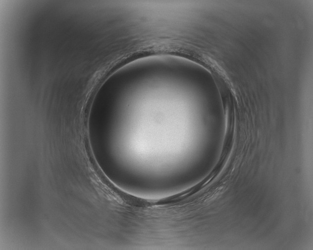 X0000072520673200607141158