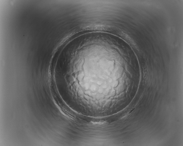 X0000072520674200607141158