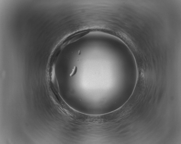 X0000072520676200607141158