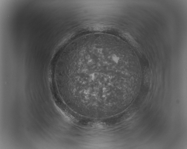 X0000072520683200607141158